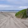 Del Rey Beach