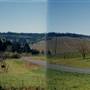 Eola Hills Vineyards - Rickreall