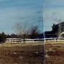 House #10002536