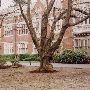 Reed College