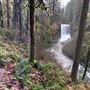 Silver Falls State Park
