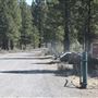La Pine State Park: Big Pine