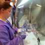 Oregon Institute of Technology - Clinical Laboratory Science