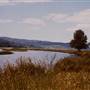 Dorena Lake