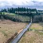 Holcomb Creek Trestle