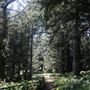 Arch Rock Picnic Area