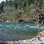 McKenzie River