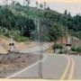 Highway 99 Railroad Crossing - Rice Hill