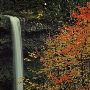 Silver Falls State Park