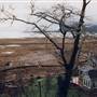 China Beach Home