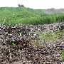 Clear Cut - Stimson Lumber