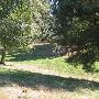 Albert Kelly Park