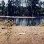 Milo McIver State Park