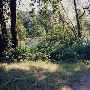 Alton Baker Park