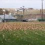 Babe Ruth Field