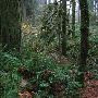 Oxbow Park