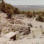 Dog Mountain