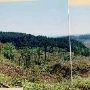 Dutch Canyon Clear Cut