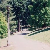Laurelhurst Park