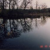 Mayer State Park