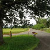 Sauvie Island -  Roads and Farmland Overview