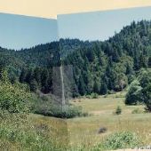 South Umpqua River Forest