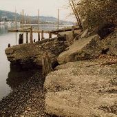 Sellwood Willamette Park