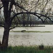 Sauvie Island - Steelman Lake