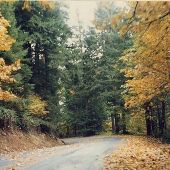 Road to Silver Falls Conference Center - near Salem