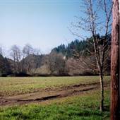 Strassel and Staley Road