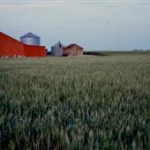 Malheur County Roads - Ontario