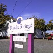 Dundee Springs/Perry Bower Vineyard - Dundee