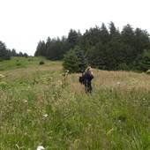 Salmon River Estuary/Cascade Head