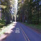 Highway 214 in Silver Falls State Park