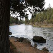 Deschutes River Trail (South)
