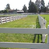 Alpenridge Farms