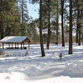 Shevlin Park (Winter)