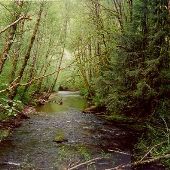 Whittaker Creek Campground