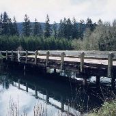 Leaburg Wooden Bridge - Leaburg