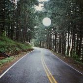 Eola Hills Road - Amity