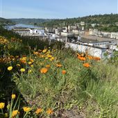 Oregon City, City of