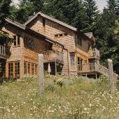 Lily of the Field B&B