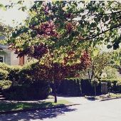 SW Fern at Montgomery