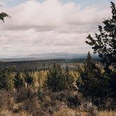 Calgary Drive/Deschutes National Forest Views