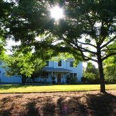 House - 10004782