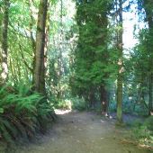 Upper Macleay Park