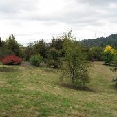 Hoyt Arboretum