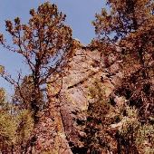 Couch Market Road Canyon