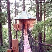 Out'n'About Treehouse Treesort