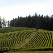 The Four Graces Winery